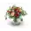 Bouquet of roses
